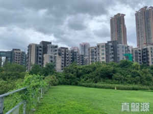 WETLAND SEASONS PARK 2期 2座 - 28NTS – 香港北部都會區
