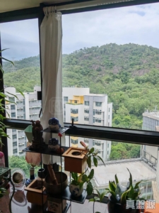 聚康山莊 1座 - 28NTS – 香港北部都會區