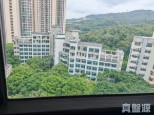 聚康山莊 1座 - 28NTS – 香港北部都會區