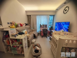 柏麗豪園 2座 - 28NTS – 香港北部都會區