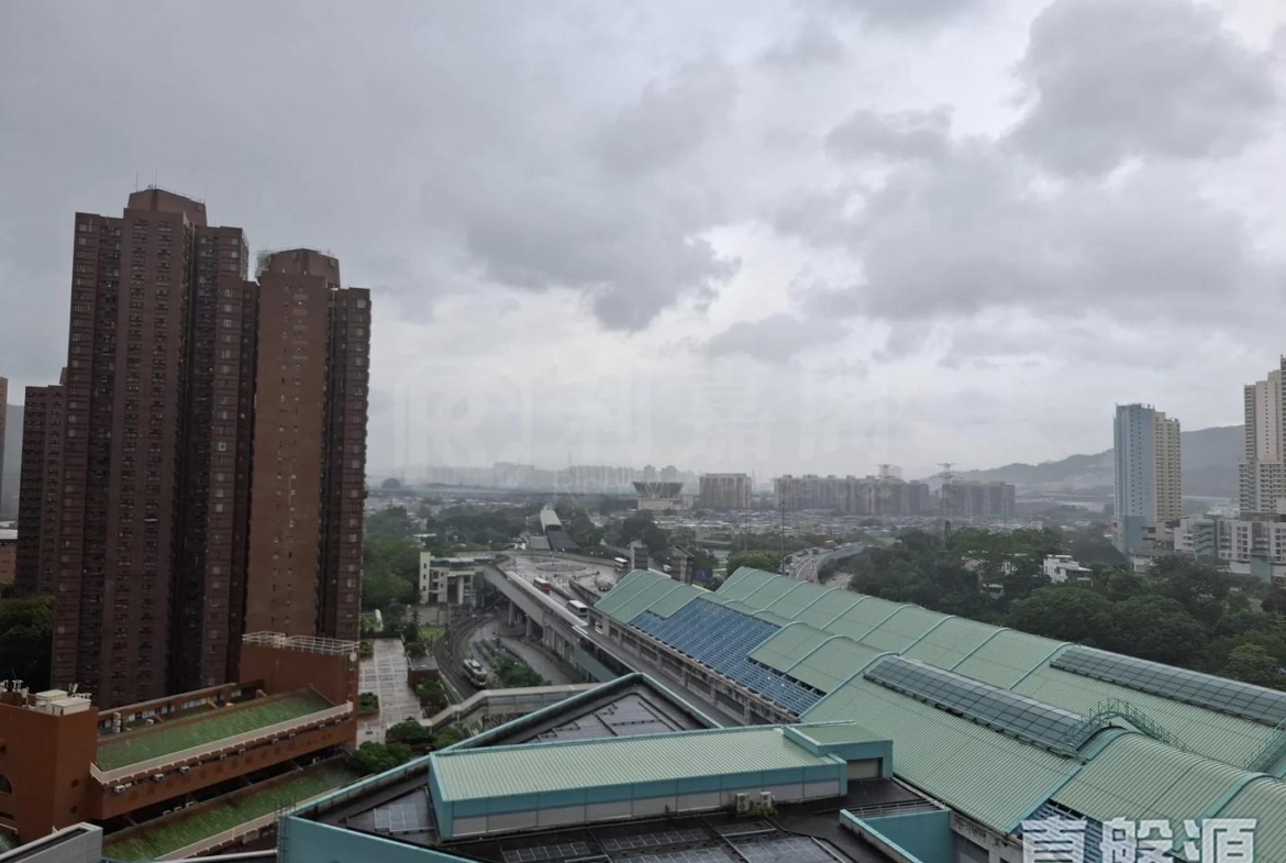 兆康苑 兆偉閣 (E座) - 28NTS – 香港北部都會區