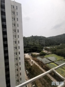 銀河苑 B座 (銀朗閣) - 28NTS – 香港北部都會區