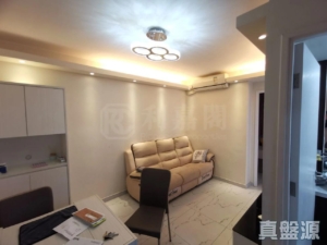 銀河苑 B座 (銀朗閣) - 28NTS – 香港北部都會區
