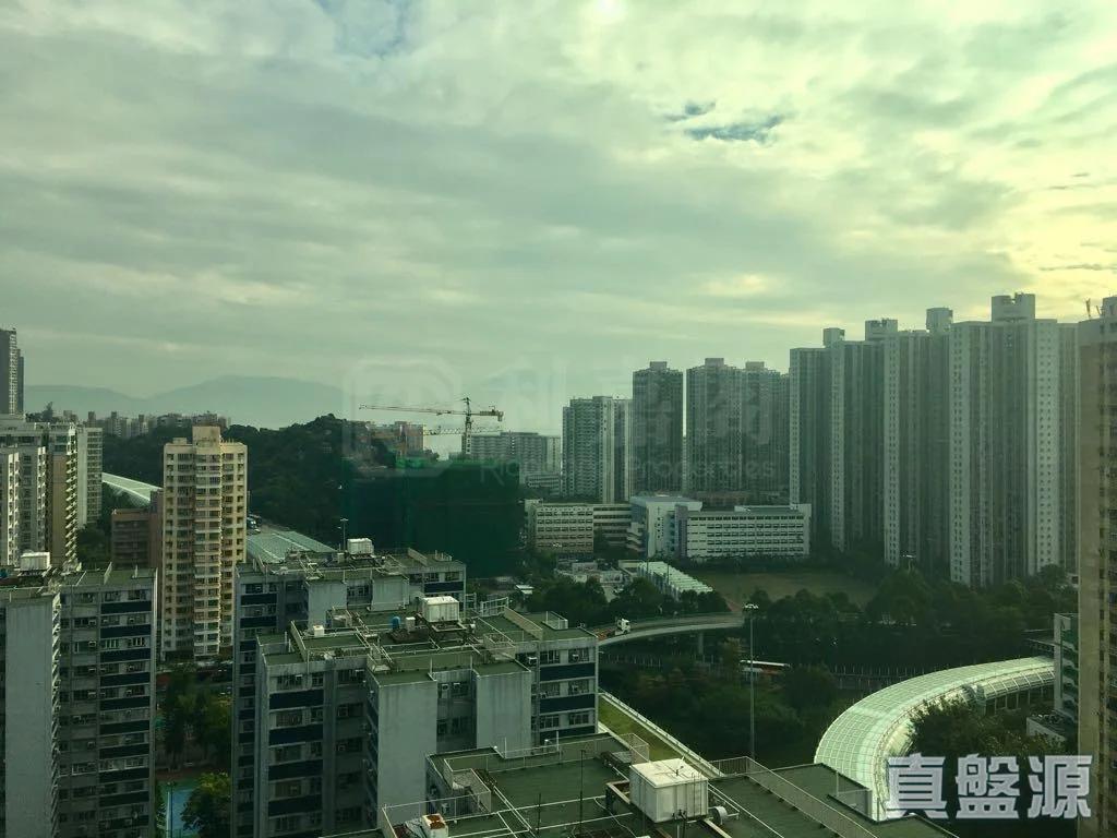 麗寶大廈 - 28NTS – 香港北部都會區