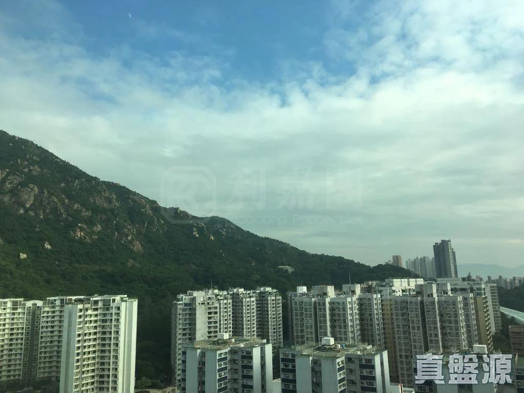 麗寶大廈 - 28NTS – 香港北部都會區