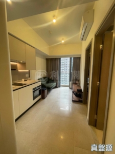 NOVO LAND 1B期 Bergen 3座 - 28NTS – 香港北部都會區