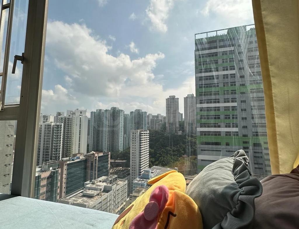 樂悠居 - 28NTS – 香港北部都會區