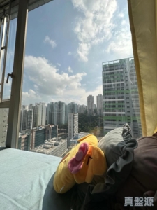 樂悠居 - 28NTS – 香港北部都會區
