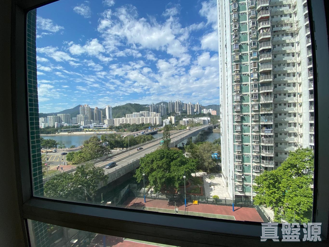 17856850767f9a3272-59c4-4605-8b3f-3476ddf91f01.jpeg