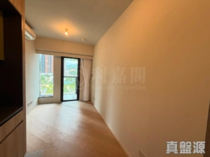 柏傲莊 3期 8座 (8A) - 28NTS – 香港北部都會區