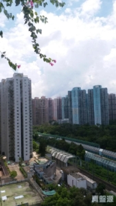 粉嶺名都 雅碧閣 (1座) - 28NTS – 香港北部都會區