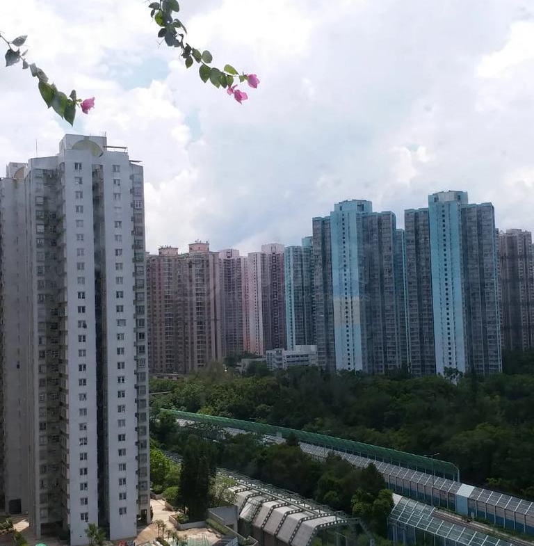 粉嶺名都 雅碧閣 (1座) - 28NTS – 香港北部都會區