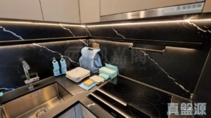 SILICON HILL UNIVERSITY HILL 2B期 優景閣 第5座 - 28NTS – 香港北部都會區