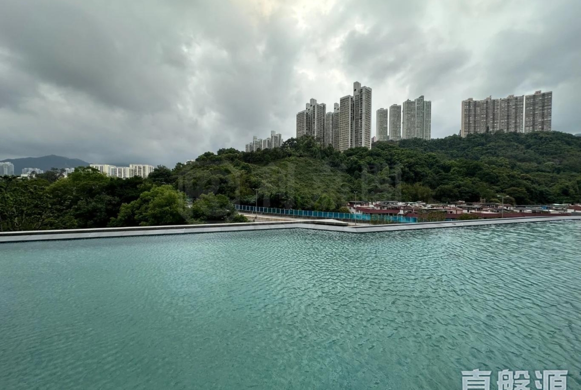 星凱．堤岸 3座 - 28NTS – 香港北部都會區