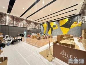 星凱．堤岸 3座 - 28NTS – 香港北部都會區