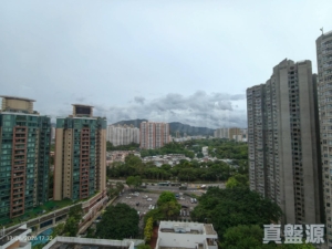 皇府山 1座 - 28NTS – 香港北部都會區