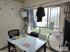 粉嶺名都 龍騰閣 (4座) - 28NTS – 香港北部都會區