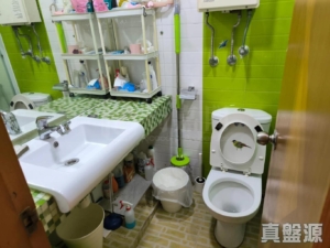 粉嶺名都 龍騰閣 (4座) - 28NTS – 香港北部都會區