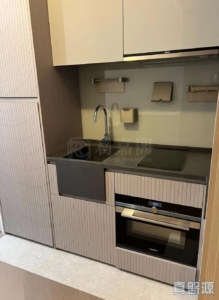 柏傲莊 2期 7座 (7A) - 28NTS – 香港北部都會區