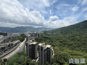 玖瓏山 月瓏閣 第1座 - 28NTS – 香港北部都會區