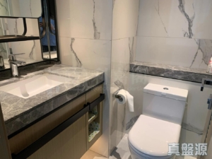 雲滙 1期 1座 - 28NTS – 香港北部都會區
