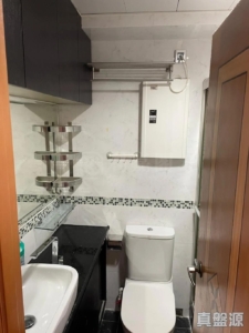 新港城 2期 C座 - 28NTS – 香港北部都會區