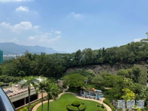 大埔寶馬山 6座 - 28NTS – 香港北部都會區