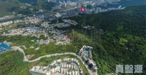 駿嶺薈 2座 - 28NTS – 香港北部都會區