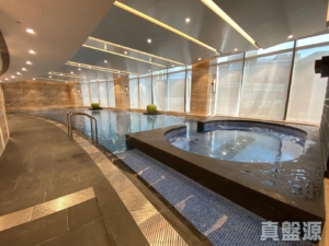 駿嶺薈 2座 - 28NTS – 香港北部都會區