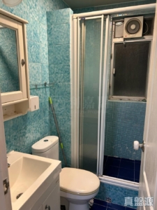 沙田第一城 4期 40座 - 28NTS – 香港北部都會區