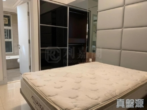 名城 3期 盛世 5座 - 28NTS – 香港北部都會區