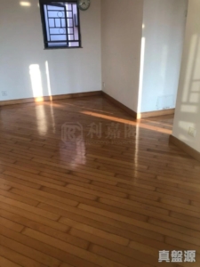 欣廷軒 3座 - 28NTS – 香港北部都會區