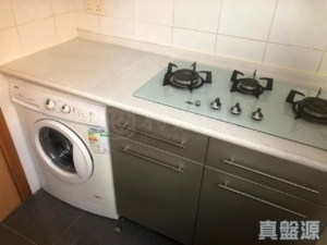 欣廷軒 3座 - 28NTS – 香港北部都會區
