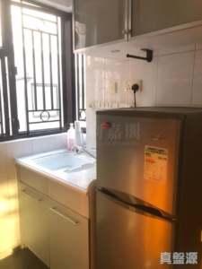 欣廷軒 3座 - 28NTS – 香港北部都會區