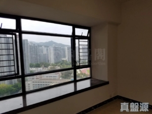 新港城 4期 L座 - 28NTS – 香港北部都會區