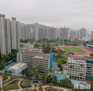 新港城 4期 L座 - 28NTS – 香港北部都會區