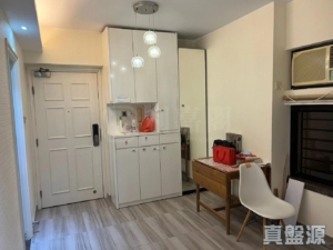 新港城 4期 E座 - 28NTS – 香港北部都會區