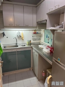 新港城 4期 E座 - 28NTS – 香港北部都會區