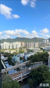星凱．堤岸 3座 - 28NTS – 香港北部都會區