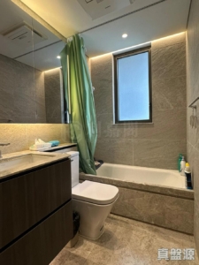 星凱．堤岸 3座 - 28NTS – 香港北部都會區