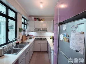 駿景園 1期 2座 - 28NTS – 香港北部都會區