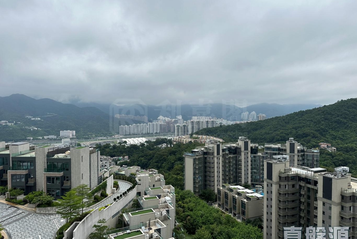 駿嶺薈 2座 - 28NTS – 香港北部都會區
