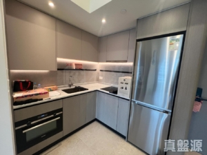 NOVO LAND 3B期 Fiskars 1座 - 28NTS – 香港北部都會區