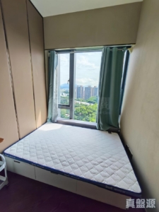 緹岸 2期 3A座 - 28NTS – 香港北部都會區