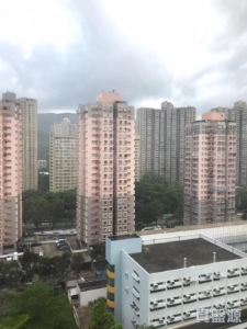 翠林閣 1座 - 28NTS – 香港北部都會區