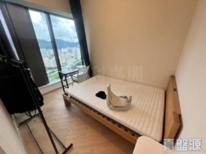 星凱．堤岸 5座 - 28NTS – 香港北部都會區