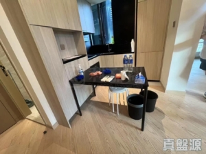 星凱．堤岸 5座 - 28NTS – 香港北部都會區