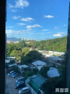 粉嶺中心 1期 B座 - 28NTS – 香港北部都會區