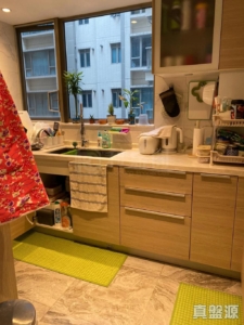 逸瓏灣 I 大廈21座 - 28NTS – 香港北部都會區