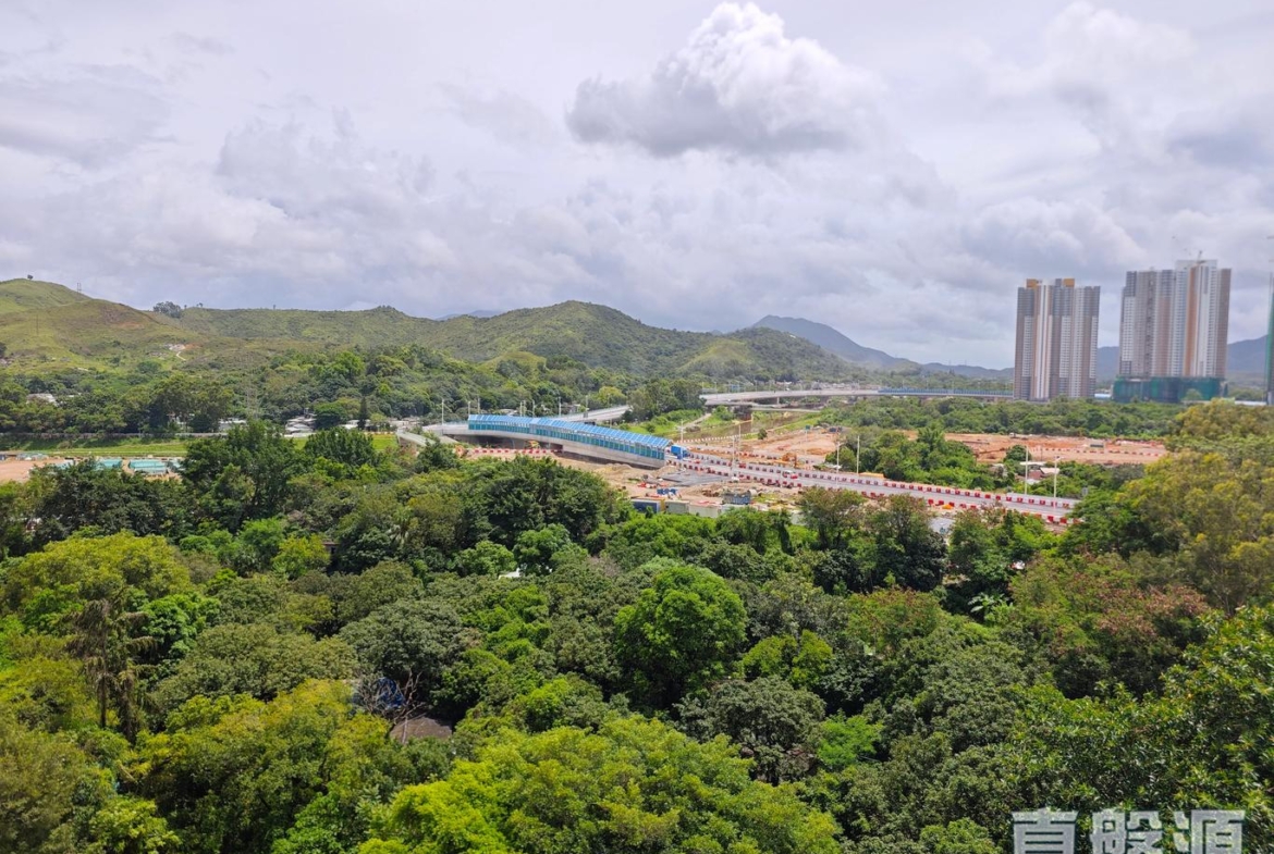 皇府山 8座 – 曉峰 - 28NTS – 香港北部都會區